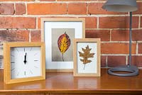 Pressed Autumnal leaves displayed in a photo frame. 