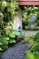 Black gravel path leading to mirror amongst Hosta 'Sum and Substance', Hosta 'Big Daddy', Hosta 'Fire and Ice', Anemanthele lessoniana, Buxus sempervirens and Taxus baccata
