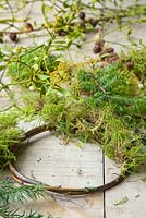 Creating a wreath made of Mistletoe, Moss and Yew. 