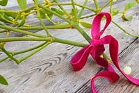 Mistletoe bouquet with a red ribbon, on wooden surface. 