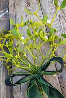 Mistletoe bouquet with a green ribbon, on wooden surface. 