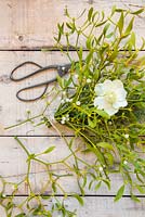 Creating a bouquet made of mistletoe, a hellebore flower and pinus. 