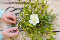 Creating a bouquet made of Mistletoe, a Hellebore flower and Pinus. 
