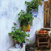 Courtyard with whitewashed walls decorated with shelves holding old tins filled with scented pelargonium. Wall shelves make best use of limited space.