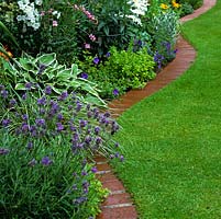Curving line of brick creates lovely edge to lawn - sunk below lawn mower level - and bed of lavender, hosta, carex, campanula with oregano.
