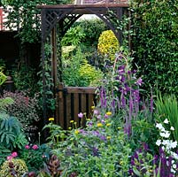 Paved path leads to wooden gate framing a mirror which creates illusion of view beyond the gate, which, in reality, is a view of the garden behind you, showing clipped golden euonymus and fatsia. Clever idea in small narrow garden to create illusion of more space.