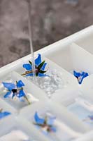 Pouring water into the ice tray that has Borage flower in each segment.