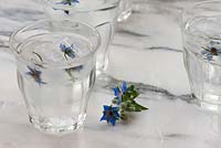 Borage flower ice cubes added to glasses of water.