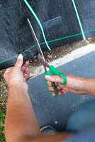 Woman cutting weed suppressing membrane with scissors.