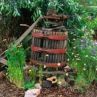 Redundant wine press rests amongst herbs and wild flowers.