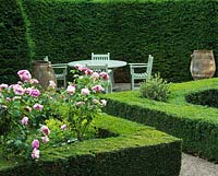 Tall yew hedges enclose a private seating area with table and chairs. Square box-edged beds filled with Rosa Mary Rose, separated by gravel paths.