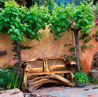 Bench crafted from olive wood, set beneath two upright vines, trained to created shade above the seat.