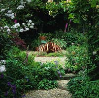 Small pergola clad in honeysuckle frames view of gravel path and courtyard, at its centre Phormium cookianum Maori Sunrise rises above thyme in a brick edged bed.