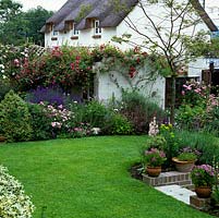 Thatched cottage makes lovely backdrop to courtyard lined in roses, hardy geranium and lavender