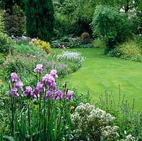 Curving round lawn, summer bed of bearded Iris Dreamcastle, catmint, geum, centaurea, veronica, scabious, poppies and fennel.