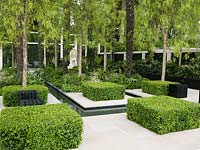 Pollarded Schinus molle, their trunks in squares of box, line a wide path leading to a sculpture.Lush planting of foxglove, fern, palm, pittosporum. Wooden bench.