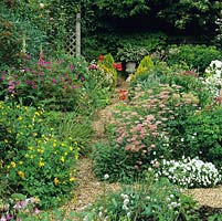 Gravel path cuts through relaxed plantings of Pimpinella major rosea, aquilegia, viola, hardy geranium, chives, marguerite and poppy. Dense ground cover, stifling weeds.