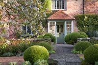 Amelanchier lamarckii flowering in spring with farmhouse porch and clipped Buxus beyond