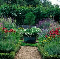 Box-edged quadrants of herbs and gravel paths encircle pot with rosemary and white flowers of chamomile in bed of thyme.