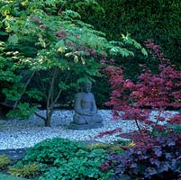 Buddha crafted from blue Karnataka stone from India sits beneath an Acer palmatum in a pebbled area.
