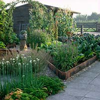 Raised beds in kitchen garden filled with allium, parsley, sweet corn, cabbage, leaf beet, spinach and agastache. Central frame bears apples.