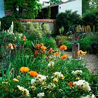 Walled, mediterranean garden with armillary sphere and beds of Papaver Turkish Delight, Rosa White Pet, foxtail lilies, iris, geum, tulip, cistus and asphodeline.