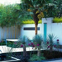 Chic courtyard of steel, concrete and glass. Clean lines and architectural planting of palm, agave, bamboo and grasses. Glass walkway over water. Glass furniture. White walls.