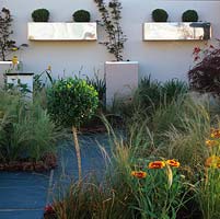 Modern courtyard. Clean lines and low maintenance plants - stipa, rudbeckia and crocosmia. Stainless steel wall boxes   box balls. Raised planters and acers add height. Walled.