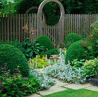 Box domes rise out of carpets of geranium, stachy or polygonum, marking path to double gate and lower garden.
