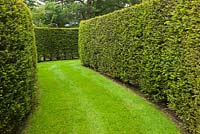 Grass paths leading through Taxus baccata - Yew hedges at Farleigh House, Hampshire