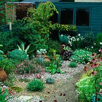 Suburban gravel garden planted with  grasses, eucomis, ice plant, echinacea, erigeron and arctotis. Pots of succulents and geranium. Acer in far corner in acid bed.