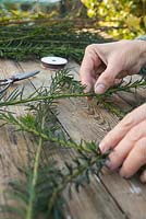 Arranging the Yew cuttings into the shape of a star. 