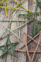 A variety of festive stars made from various tree and shrub cuttings. Yew, Spindle, Broom and Prunus with Lichen. 