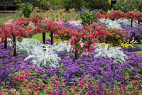 Colourful flowerbed with pergola 