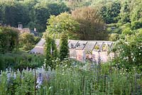 View down to derelict Victorian glasshouse undergoing restoration, across bed of delphiniums, oxeye daisies, Verbascum and Stachys byzantina. Littlebredy Walled Gardens, Littlebredy, Dorset