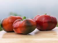 Chilli torro rosso resembles a tomato.