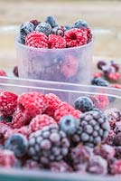 Frozen Summer Fruits. Plastic containers full of frozen foraged berries. Featuring Blueberries - Vaccinium, Raspberries and Blackberries - Rubus fruticosus