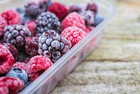 Frozen Summer Fruits. Plastic container full of frozen foraged berries. Featuring Blueberries - Vaccinium, Raspberries and Blackberries - Rubus fruticosus