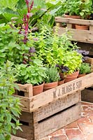 Mixed herbs in a wooden crate