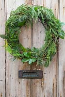 Mixed evergreen wreath hanging on a wooden door. Foliage contains sequoiadendron giganteum, pinus, larch and ilex aquifolium