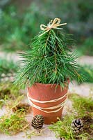 Miniature christmas tree made with foliage of a Pine tree