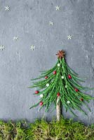 Natural christmas tree. Foliage made from Sequoiadendron giganteum, Mistletoe and Hawthorn berries used as baubles, Star Anise fruit used as the star, Fennel seeds used to make stars and moss used as groundcover