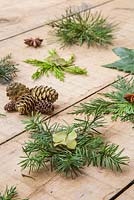 A variety of Christmas stars, made from foliage of various Evergreen trees. Lithocarpus - Stone oak, Juniper, Conifer, Pinus and Sequoiadendron giganteum.