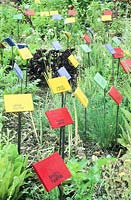 Brightly coloured plant labels in French