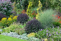 Take 12 border at Foggy Bottom, Bressingham Gardens, Norfolk, UK. Mixed border featuring Adrian Bloom's top twelve plants. August, summer.