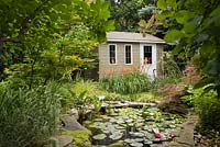 Garden pond with Nymphaea - Waterlilies and painted shed flanked by orange Hemerocallis 'Sammy Russel' - Daylily flowers, Quebec, Canada