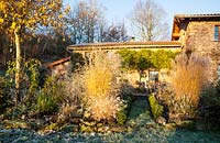 View of house covered in Rosa banksiae, mixed borders with grasses, perennials, shrubs and pleached lime tree - December, Mas de Bety, France