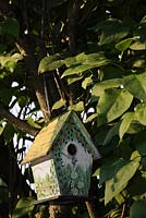 Wooden birdhouse in lilac tree in urban back garden, Quebec, Canada