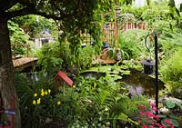 Malus 'Royal Beauty' - Apple tree and brown wooden footbridge and pergola over pond with Eichhornia - Water Hyacinth, Nymphaea - Waterlilies and bordered by Matteucia 'Ostrich' - Fern plants in urban backyard garden in summer, Quebec, Canada