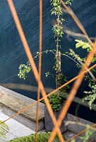 Basement level patio - rod plant supports